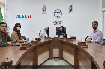 توصیف اندیشکده گردشگری جهاددانشگاهی اصفهان به عنوان یک اندیشکده حرفه‌ای